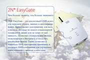 Шлюз аналоговый 2N EasyGate (501303E)